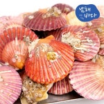 하프클럽 - 대한민국 메가쇼핑 [남해바다] 국내산 가리비 2kg / 35-45미