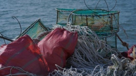 바다살기기 네트워크, 연합 플로깅 행사 ‘동해번쩍 서해번쩍’ 성료 < 문화·예술·연예 < 라이프 < 기사본문 - 한국투데이 바다살기기 네트워크... 