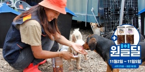 펫박스, 빅츄 꼬불이 져키900g 1+1 네이버 원쁠딜 단독 프로모션 < 뷰티·패션·여행 < 라이프 < 기사본문 - 한국투데이 펫박스,  빅츄 꼬불이... 