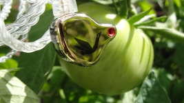 SuperTFZ Force King | Headphone Reviews and Discussion - Head-Fi.org SuperTFZ Force King