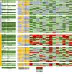 Headphones for metal music - ultimate solution | Page 531 | Head-Fi.org  Headphones for metal music - ultimate solution