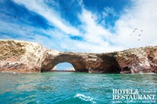 [Beverage Issue] 페루 천혜의 자연환경을 물려받다, 처음 만나는... 천혜의 자연환경을 물려받다, 처음 만나는 페루 커피... 