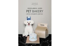 파라다이스호텔 부산에서 만나는 프리미엄 견(犬)슐랭 케이크 < 호텔&리조트 < 기사본문 - 호텔앤레스토랑 파라다이스호텔 부산에서 만나는... 