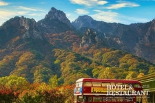 켄싱턴호텔 설악, ‘박물관을 품은 호텔’ 브랜드 철학이 세계인의 마음... 켄싱턴호텔 설악, ‘박물관을 품은 호텔’ 브랜드 철학이 세계인의... 