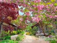 [Hot Place] 나무섬, 생명의 섬, 문화 예술의 섬 - “남이섬은 오늘이 가장 좋습니다” < 호텔&리조트 < 기사본문 - 호텔앤레스토랑 [Hot Place]... 