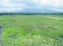 사료작물 재배, 해외농장 개발 잰걸음 < 기획/특집 < 홍성신문 < 기사본문 - 홍성신문·내포타임즈 사료작물 재배, 해외농장 개발 잰걸음