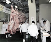 최고급 한우 우리가 만든다 < 농업/경제 < 홍성신문 < 기사본문 - 홍성신문·내포타임즈 최고급 한우 우리가 만든다