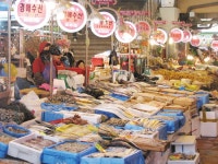 먹고 입고 자는데 필요한 물건 싼값에 구입 < 기획/특집 < 홍성신문 < 기사본문 - 홍성신문 내포타임즈 먹고 입고 자는데 필요한 물건 싼값에 구입