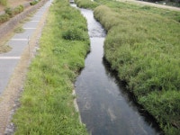 홍성에는 빗물이용시설이 없다 < 기획/특집 < 홍성신문 < 기사본문 - 홍성신문·내포타임즈 홍성에는 빗물이용시설이 없다