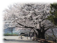 내현권역 종합개발사업 본격 돌입 < 농업/경제 < 홍성신문 < 기사본문 - 홍성신문·내포타임즈 내현권역 종합개발사업 본격 돌입