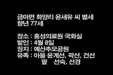 금마면 화양리 윤세유 씨 별세 < 부고 < 애경사 < 기사본문 - 홍성신문 내포타임즈 금마면 화양리 윤세유 씨 별세