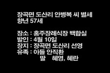 장곡면 도산리 안병복 씨 별세 < 부고 < 애경사 < 기사본문 - 홍성신문·내포타임즈 장곡면 도산리 안병복 씨 별세