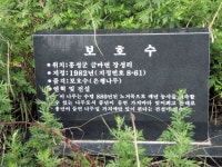 우리지역의 숨겨진 이야기/ 금마면 장성리 ‘은행정’ < 문화/레포츠... 홍성신문·내포타임즈 우리지역의 숨겨진 이야기/ 금마면 장성리 ‘은행정’