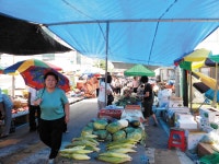 기획취재/ 전통시장 활성화, 선진 사례에서 해답을 찾자① < 농업/경제 < 홍성신문 < 기사본문 - 홍성신문·내포타임즈 기획취재/ 전통시장 활성화... 