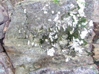 우리지역의 숨겨진 이야기/ 장곡면 월계2리 용연마을 ‘하늘로 올라간 두 마리 용의 사연’ < 문화/레포츠 < 홍성신문 < 기사본문 - 홍성신문... 