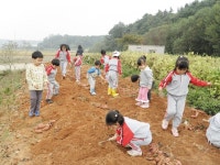 지면을 분양합니다/ 장곡초 반계분교 < 기획/특집 < 홍성신문 < 기사본문 - 홍성신문·내포타임즈 지면을 분양합니다/ 장곡초 반계분교