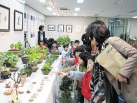 들꽃사랑연구회, 홍성도서관 전시실에서 들꽃사랑 회원전 가져 < 문화/레포츠 < 홍성신문 < 기사본문 - 홍성신문·내포타임즈 들꽃사랑연구회... 