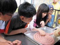 체험마을 소개/ 정다운 농장 < 농업/경제 < 홍성신문 < 기사본문 - 홍성신문·내포타임즈 체험마을 소개/ 정다운 농장