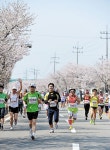 ‘예산 벚꽃 마라톤’ 명품대회 확인 < 포토뉴스 < 내포타임즈 < 기사본문 - 홍성신문 ‘예산 벚꽃 마라톤’ 명품대회 확인
