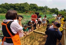 [학교신문] 남당의 꽃 신당초등학교 < 기획/특집 < 홍성신문 < 기사본문 - 홍성신문·내포타임즈 [학교신문] 남당의 꽃 신당초등학교