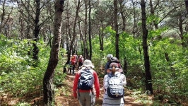 내포문화숲길 내포역사문화기행 < 문화/레포츠 < 홍성신문 < 기사본문 - 홍성신문·내포타임즈 내포문화숲길 내포역사문화기행