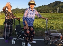 은하면 유송리 유송마을 - 마을 둘러보기 < 기획/특집 < 홍성신문 < 기사본문 - 홍성신문·내포타임즈 은하면 유송리 유송마을 - 마을 둘러보기