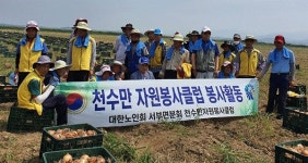 천수만 자원봉사클럽 양파수확 봉사 < 사회 < 홍성신문 < 기사본문 - 홍성신문·내포타임즈 천수만 자원봉사클럽 양파수확 봉사