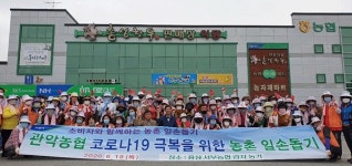 관악농협 일손 돕기 구슬땀 < 농업/경제 < 홍성신문 < 기사본문 - 홍성신문·내포타임즈 관악농협 일손 돕기 구슬땀
