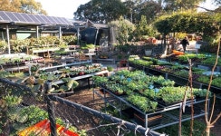 마음의 힘 키우는 ‘치유농장’ < 기획/특집 < 홍성신문 < 기사본문 - 홍성신문·내포타임즈 마음의 힘 키우는 ‘치유농장’