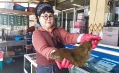 노을로 물드는 마을 ‘어사리’ < 기획/특집 < 홍성신문 < 기사본문 - 홍성신문·내포타임즈 노을로 물드는 마을 ‘어사리’