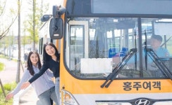 홍주여객 인터넷 홈페이지 개설 < 사회 < 홍성신문 < 기사본문 - 홍성신문 내포타임즈 홍주여객 인터넷 홈페이지 개설