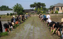 15년째 이어진 홍동중 손모내기 < 사회 < 홍성신문 < 기사본문 - 홍성신문·내포타임즈 15년째 이어진 홍동중 손모내기