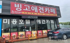 사랑으로 반려견 돌보는 빙고애견카페 < 사회 < 홍성신문 < 기사본문 - 홍성신문 내포타임즈 사랑으로 반려견 돌보는 빙고애견카페