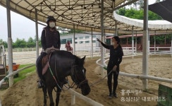 승마 대중화 꿈꾸는 충남 유일 공공승마장 < 문화/레포츠 < 홍성신문 < 기사본문 - 홍성신문 내포타임즈 승마 대중화 꿈꾸는 충남 유일 공공승마장