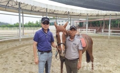 승마 대중화 꿈꾸는 충남 유일 공공승마장 < 문화/레포츠 < 홍성신문 < 기사본문 - 홍성신문·내포타임즈 승마 대중화 꿈꾸는 충남 유일 공공승마장