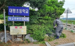 “코스모스 피면 대평초서 꼭 만납시다” < 사회 < 홍성신문 < 기사본문 - 홍성신문·내포타임즈 “코스모스 피면 대평초서 꼭 만납시다”