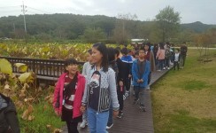 용봉산 아래 딸기 익어가는 마을 < 읍면중계탑 < 홍성신문 < 기사본문 - 홍성신문·내포타임즈 용봉산 아래 딸기 익어가는 마을