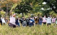 홍동초, 교육부 ‘참 좋은 작은 학교’ 선정 < 교육/청소년 < 홍성신문 < 기사본문 - 홍성신문 내포타임즈 홍동초, 교육부 ‘참 좋은 작은 학교’ 선정