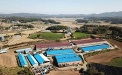 비전농장, 전국 최초 백년가게 축산농장 선정 < 사회 < 홍성신문 < 기사본문 - 홍성신문·내포타임즈 비전농장, 전국 최초 백년가게 축산농장 선정