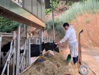 “내 농장 특색 찾아야 한다”…한우·비육우 사육에서 이제는 가공·판매 준비 < 기획/특집 < 홍성신문 < 기사본문 - 홍성신문 내포타임즈 “내... 