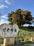 갈산면 신촌마을 느티나무 < 포토뉴스 < 홍성신문 < 기사본문 - 홍성신문·내포타임즈 갈산면 신촌마을 느티나무