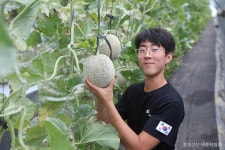 청년농부 땀방울이 빚어낸 친환경 멜론 < 사람들 < 홍성신문 < 기사본문 - 홍성신문·내포타임즈 청년농부 땀방울이 빚어낸 친환경 멜론