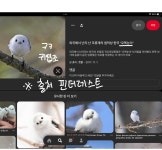 킹벤저스우주정복 델언니 논란 표지 ㅋㅋㅋ8일 . - ibisPaint