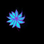 Untitled1_0000-41-11_1 - ibisPaint