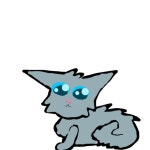 Рождение котят - ibisPaint
