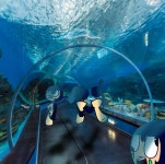 day at the aquarium pt 1 - ibisPaint