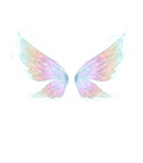 wings, 妖精の翼, 날개 - ibisPaint