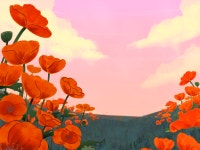IBM2716 POPPY FLOWER B - ibisPaint