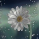 white - ibisPaint