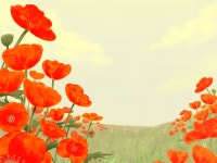 IBM2715 poppy flower a bright - ibisPaint
